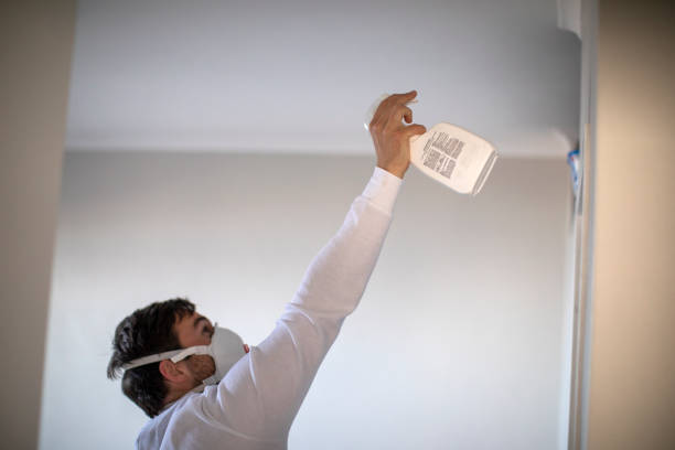 Best Mold Damage Repair  in Ackley, IA