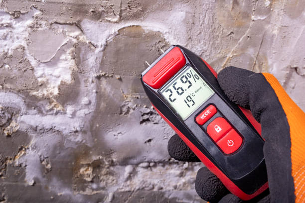 Best Mold Removal Process  in Ackley, IA
