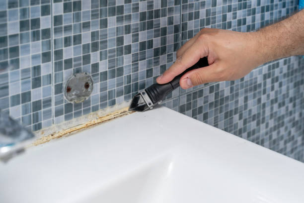 Mold Removal Process in Ackley, IA